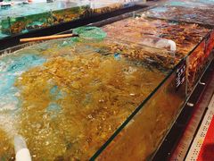 -苏先生海鲜渔庄(金桥店)