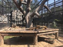 -石家庄市动物园