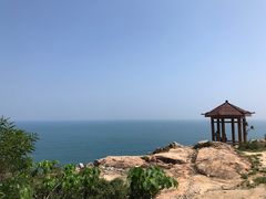 -广东惠东海龟国家级自然保护区