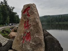 -五营红松林海景区