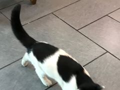 -吾穆勒蓬灰牛肉面·清真(北滨河中路店)