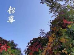 -北京西山国家森林公园