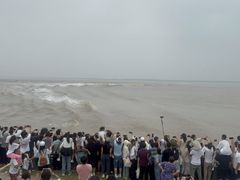 -观潮胜地公园