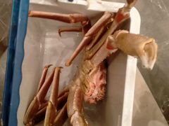 -顺风酒店(长寿路店)