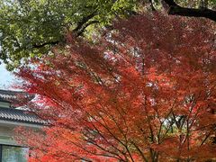 -浙江西子宾馆·瑶园咖啡厅