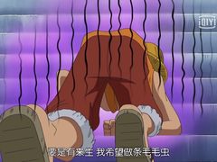 -喵的天空名猫咖啡馆·撸猫·猫舍·用品