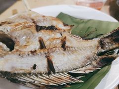 -杨合林啊兰烤鱼
