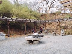 -千年银杏谷文化旅游区