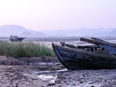 -北岐滩涂