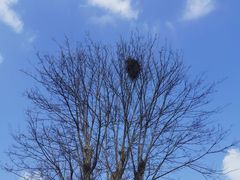 -武汉紫薇都市田园