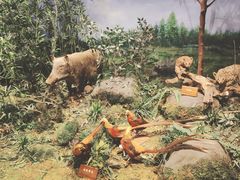 -陕西自然博物馆