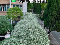-四川大学(望江校区)