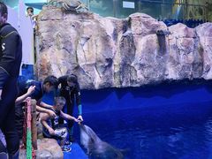 -华夏文旅海洋公园