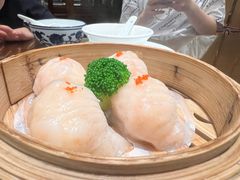 -岭南小生·粤港点心(南门口店)