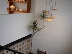 -自由生长植物工作室(深港花卉中心店)
