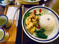 椰浆鸡饭-马来MO简餐.南洋风味料理(美食街店)