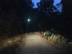 -天强农家菜馆