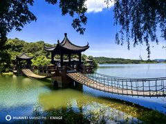 -天乐农家鱼头王(天目湖店)