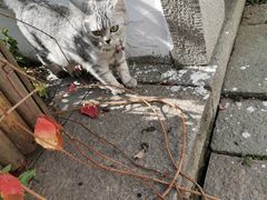 -衣裳街历史文化街区