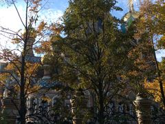 -滴血救世主教堂