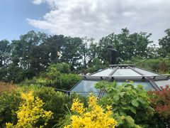 -三鹰之森吉卜力美术馆