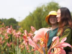 -白塔湖国家湿地公园