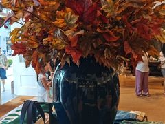 -Polo Ralph Lauren(青浦百联奥特莱斯广场店)