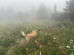 -白草畔自然风景区