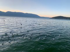 -大理洱海