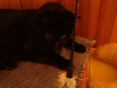 -春风十里咖啡馆