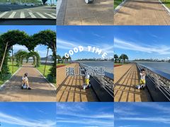 -野狸岛