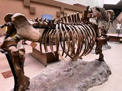 -陕西自然博物馆