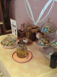 -莎蔓莉莎美容会所