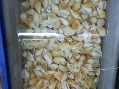 海螺-无招牌海鲜餐厅(滨海艺术中心店)