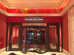 -拉斯维加斯永利酒店