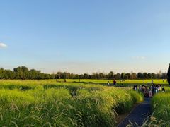 -汉长安城未央宫国家考古遗址公园