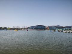 -上海长兴岛郊野公园