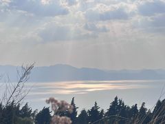 -呈贡滇池生态湿地公园