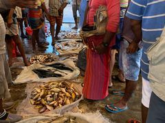 -尼甘布海鲜市场