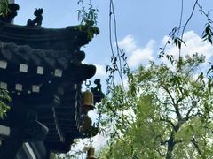 -哈尔滨极乐寺