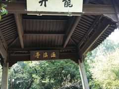 -龙井村
