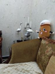 -新美荟医美·专注面部美学抗衰