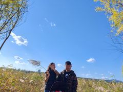 -绿堤公园