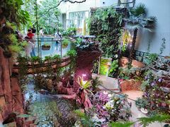 -正佳雨林生态植物园