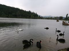 -汤森悠生活文化汤(江宁万达店)