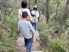 -青龙山国家森林公园