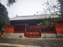 -洛阳白马寺