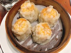 -红虎饺子房(维纳斯城堡)