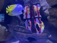 -成都浩海立方海洋公园