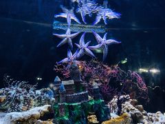 -海合安天津极地海洋公园